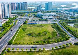 贝博艾佛森 双城全国最大绿化树苗批发市场在哪里